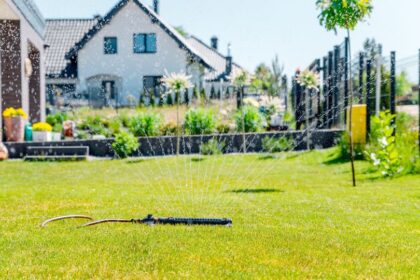 Welche Pflanzen sind pflegeleicht fur den Garten