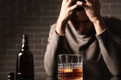 Welches Organ schaedigt Alkohol